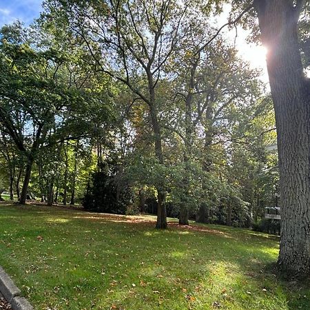 Ecrin De Verdure Au Chesnay Et Parking Gratuit Lägenhet Le Chesnay  Exteriör bild